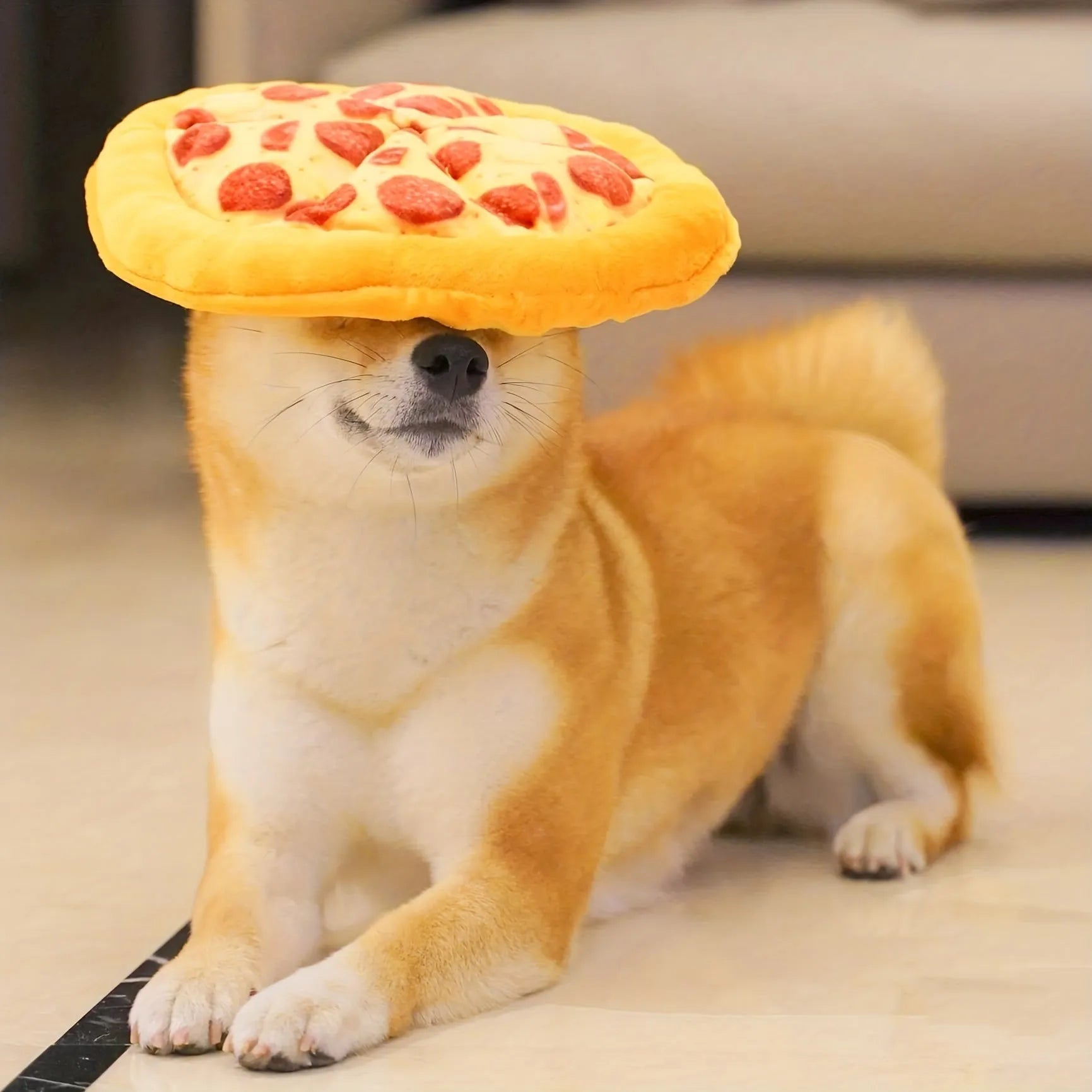 Yellow pizza slice shaped dog chew toy with squeaker for small medium dogs