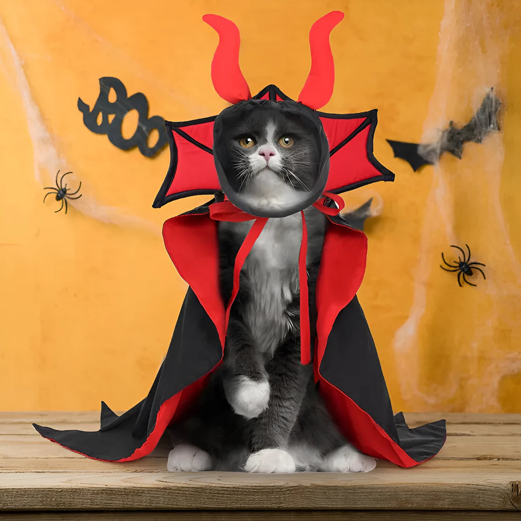 Black vampire cloak and hat pet costume for Halloween on small dog