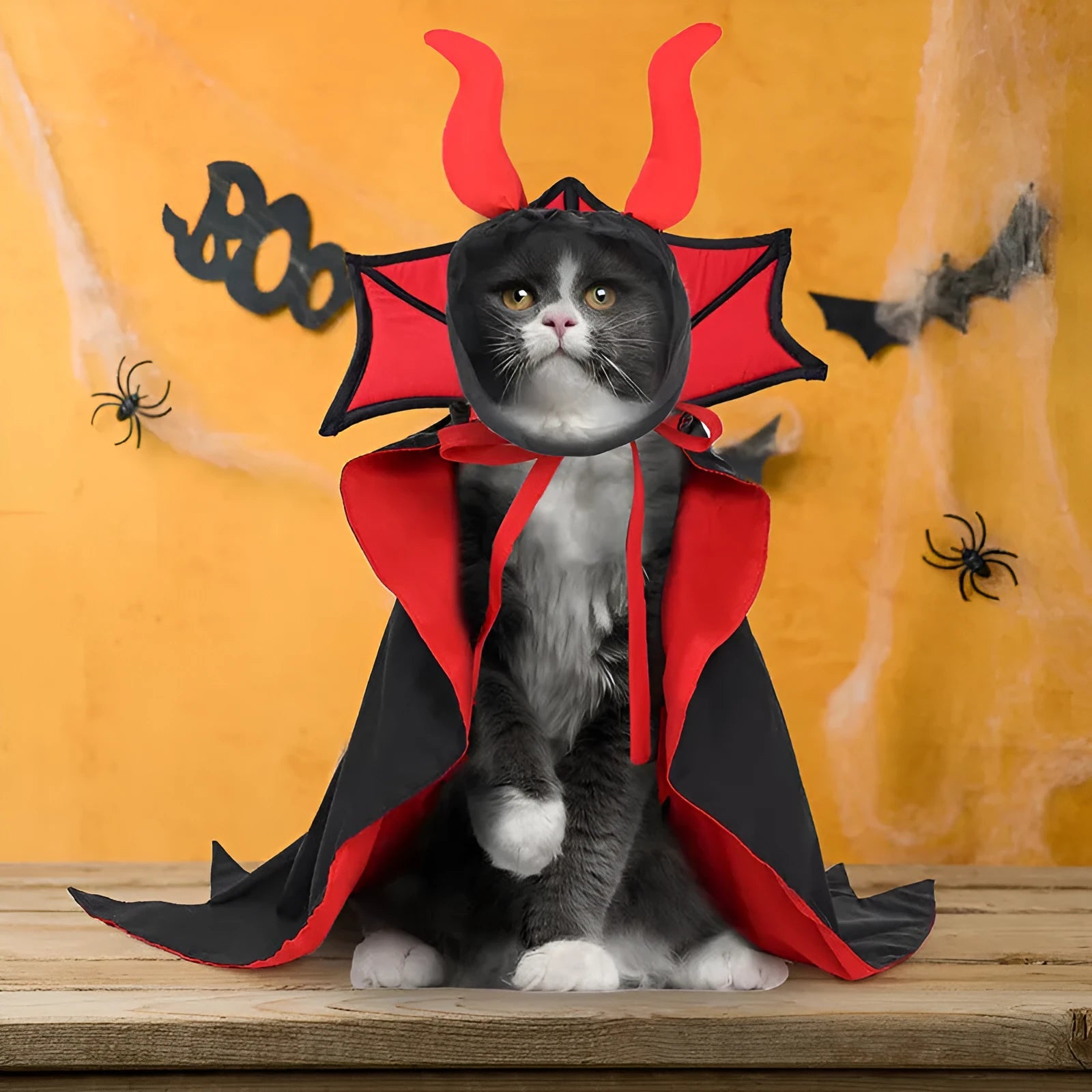 Black vampire cloak and hat pet costume for Halloween on small dog