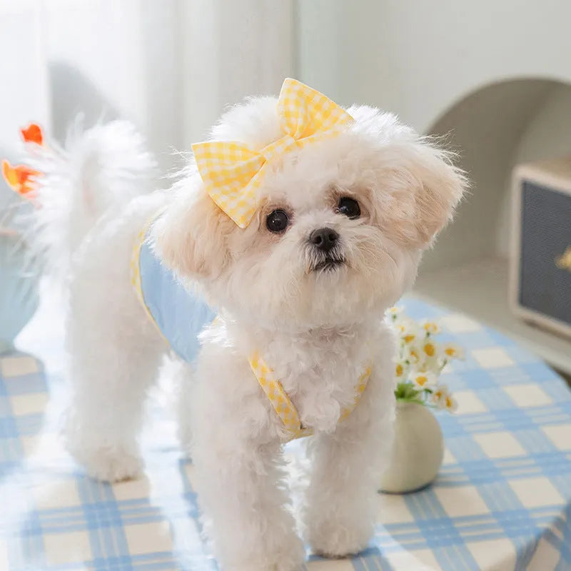 Small dog wearing heart relief texture bow suspenders vest in blue with matching hairband