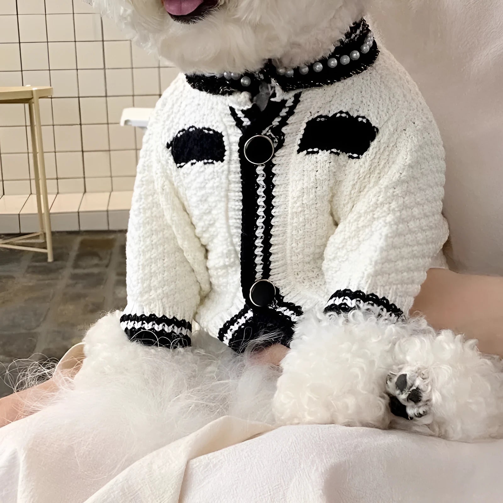 Korean style white puppy sweater with pearl collar for small dogs, size chart showing weight ranges