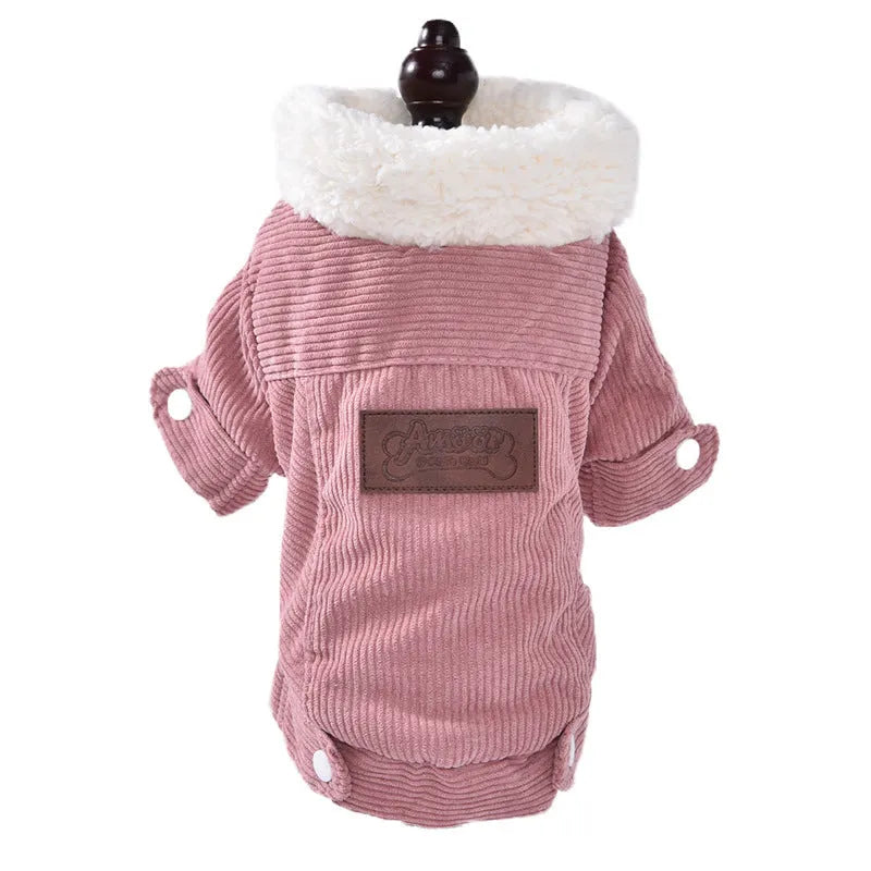 Lambswool grey dog vest with wool lining for autumn and winter warmth