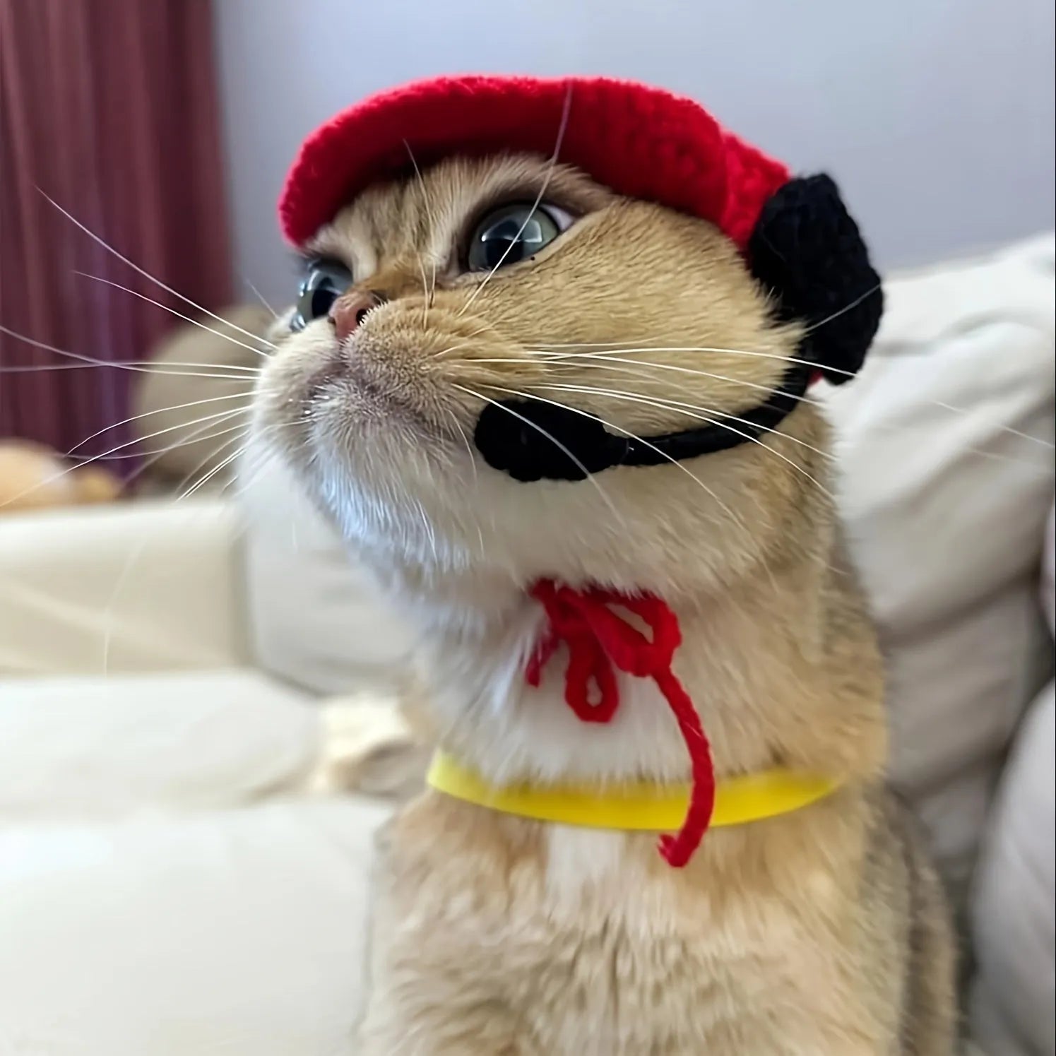 Handmade chef hat and cotton knitted sweater pet costume set for small to medium cats and dogs