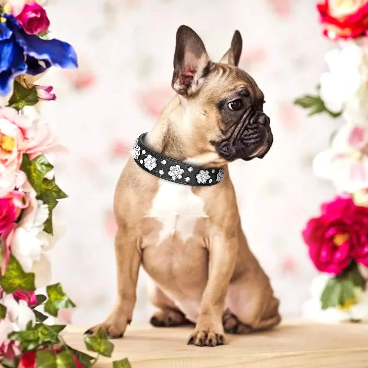 Adjustable black PU leather dog collar with rhinestone flower pattern and metal studs for small dogs.