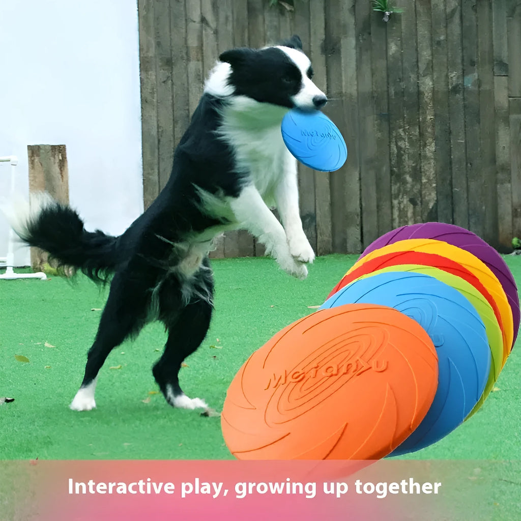 Soft rubber dog frisbee in multiple sizes and colours for outdoor walking and play
