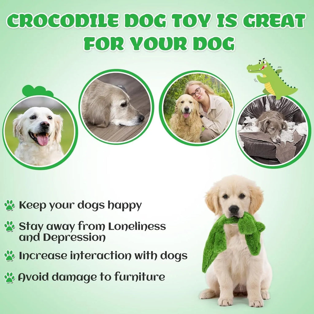 Green crocodile-shaped plush dog toy with no stuffing, squeaker in head, and crinkle paper tail