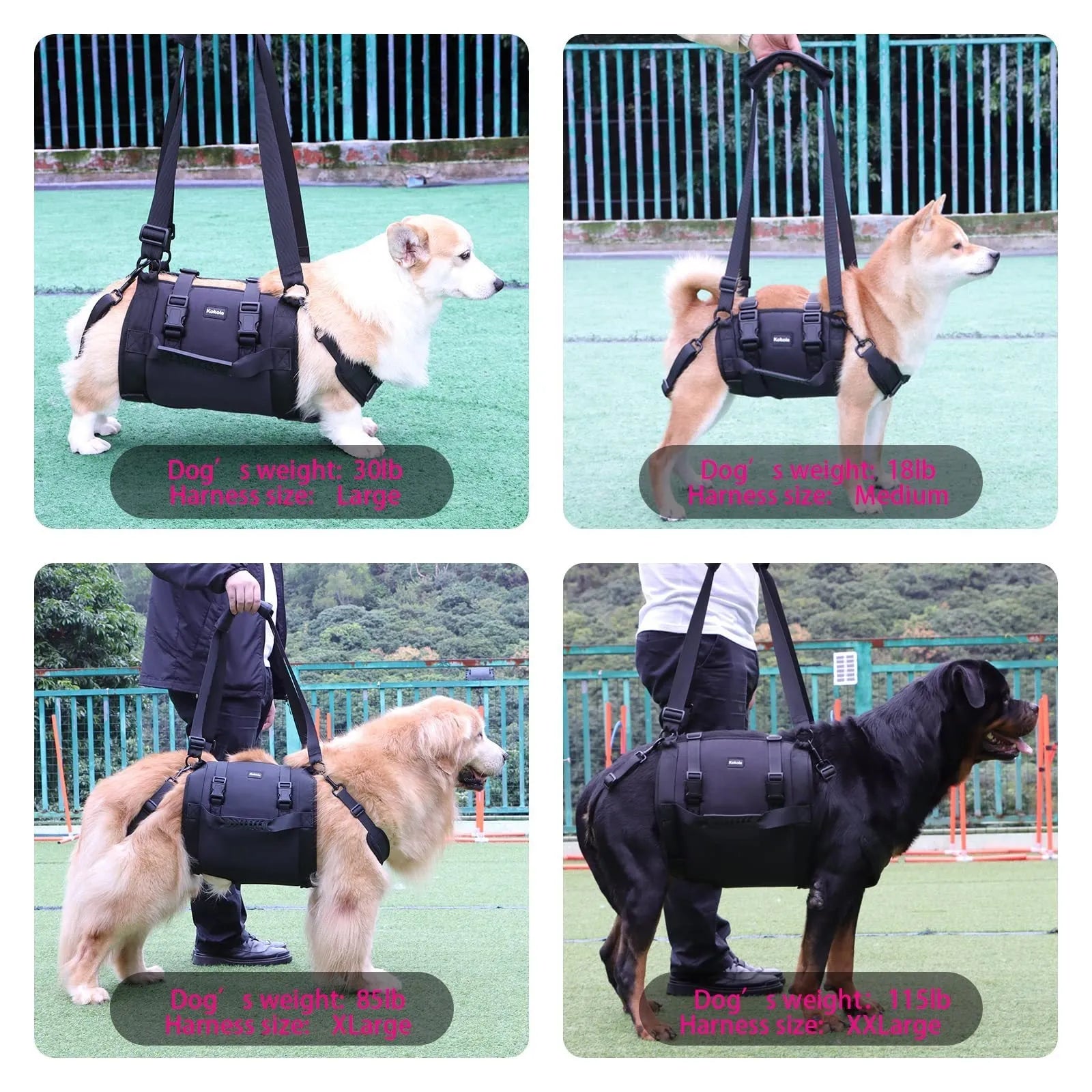 Black Oxford cloth dog rehabilitation harness with adjustable breast strap for leg support.