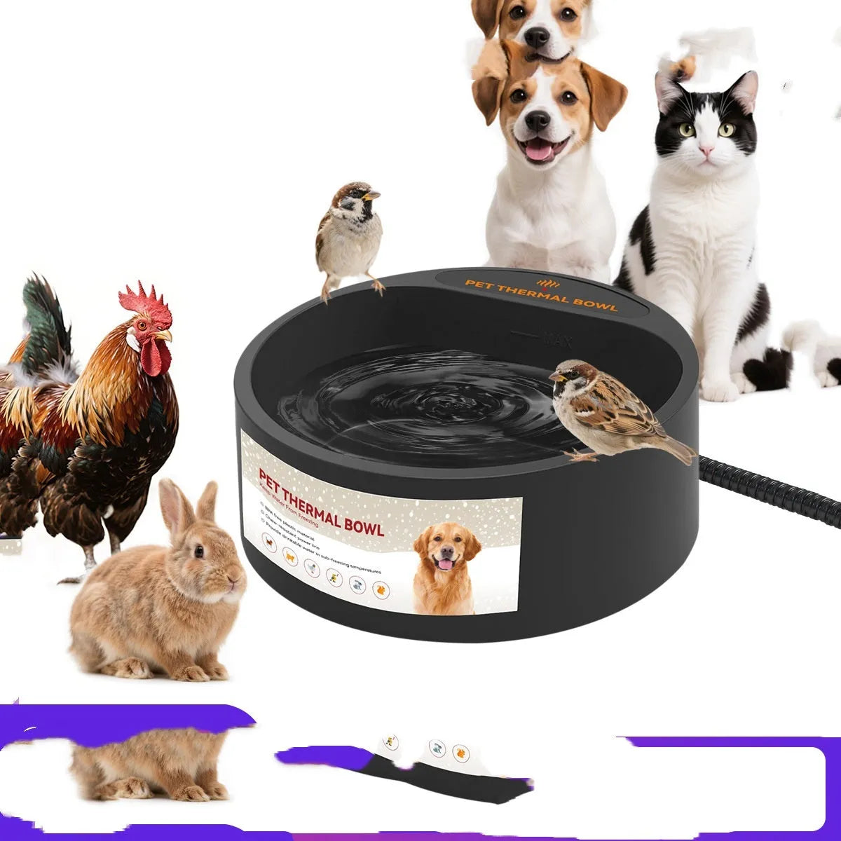 Black ABS plastic heated pet bowl with constant temperature control for cats and dogs