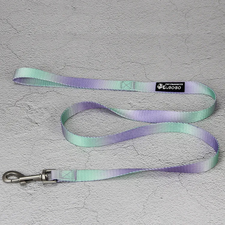 Nylon dog leash and collar set showing gradient colour pattern in pink and blue