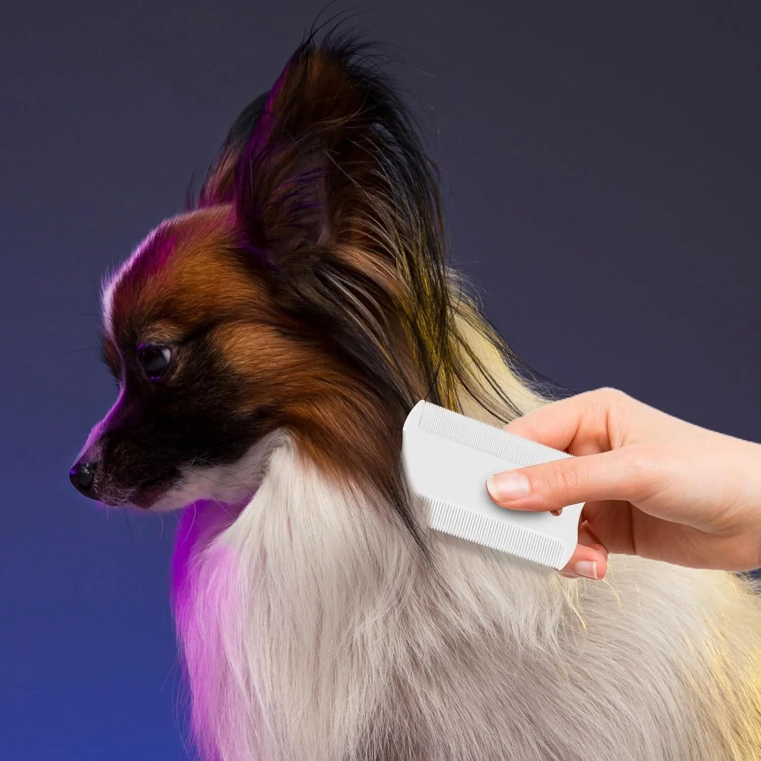Double-sided plastic flea comb for pets with dense teeth measuring 0.85 by 5 centimetres