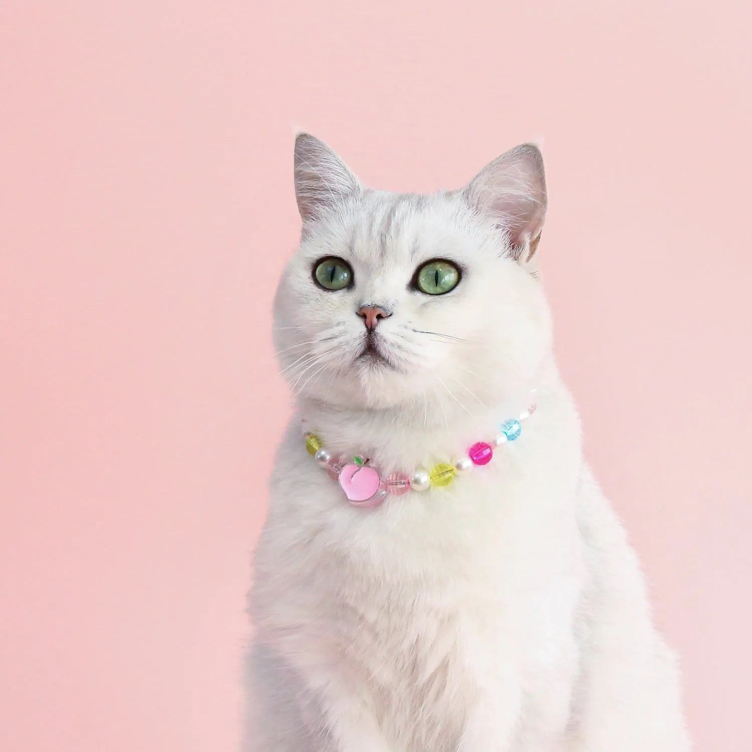 Colourful plastic bead cat necklace with adjustable sizing in peach, rainbow, and small flower patterns