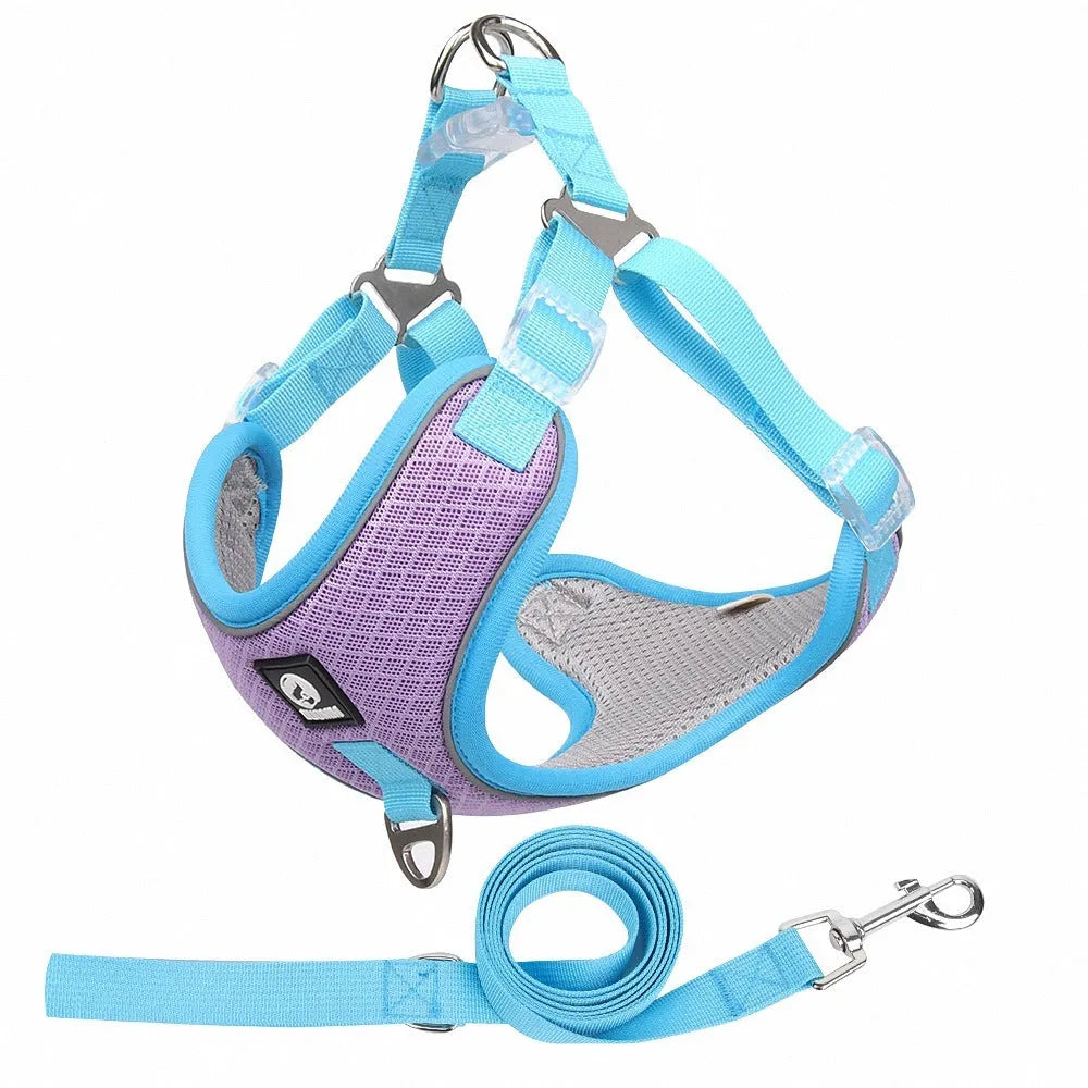 Adjustable breathable mesh dog harness with reflective piping in black, shown on a small dog.